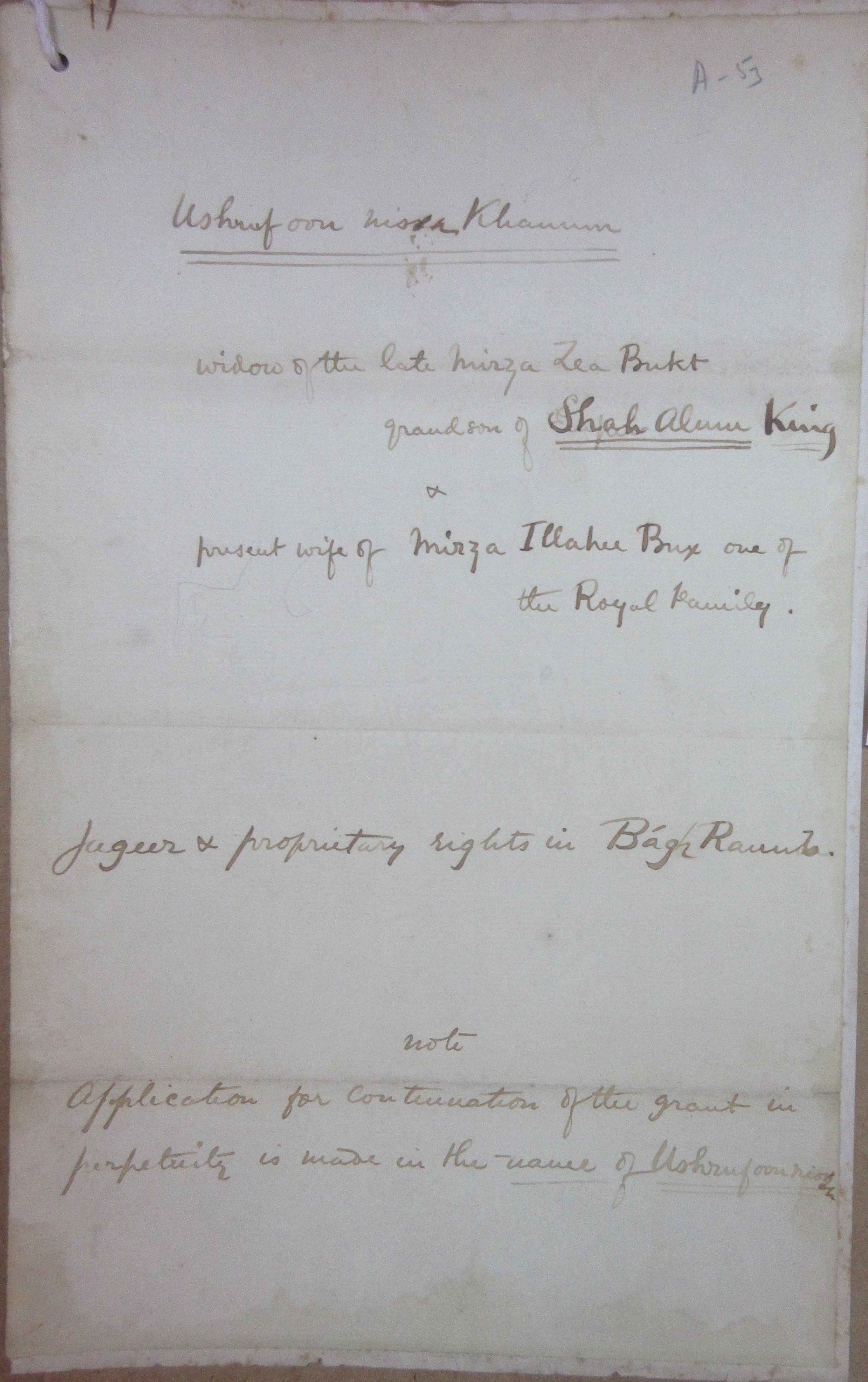 Application For Continuation of the Grant in Perpetuity is Made in the Name of Ashraf un-Nisa Khanum widow of Mirza Muhammad Zia Bakht Bahadur Grandson of Shah Alam King & daughter of Muhammad Nur Khan, Present Wife of Mirza Ilahi Bakhsh one of the Imperial Family, File No. 23