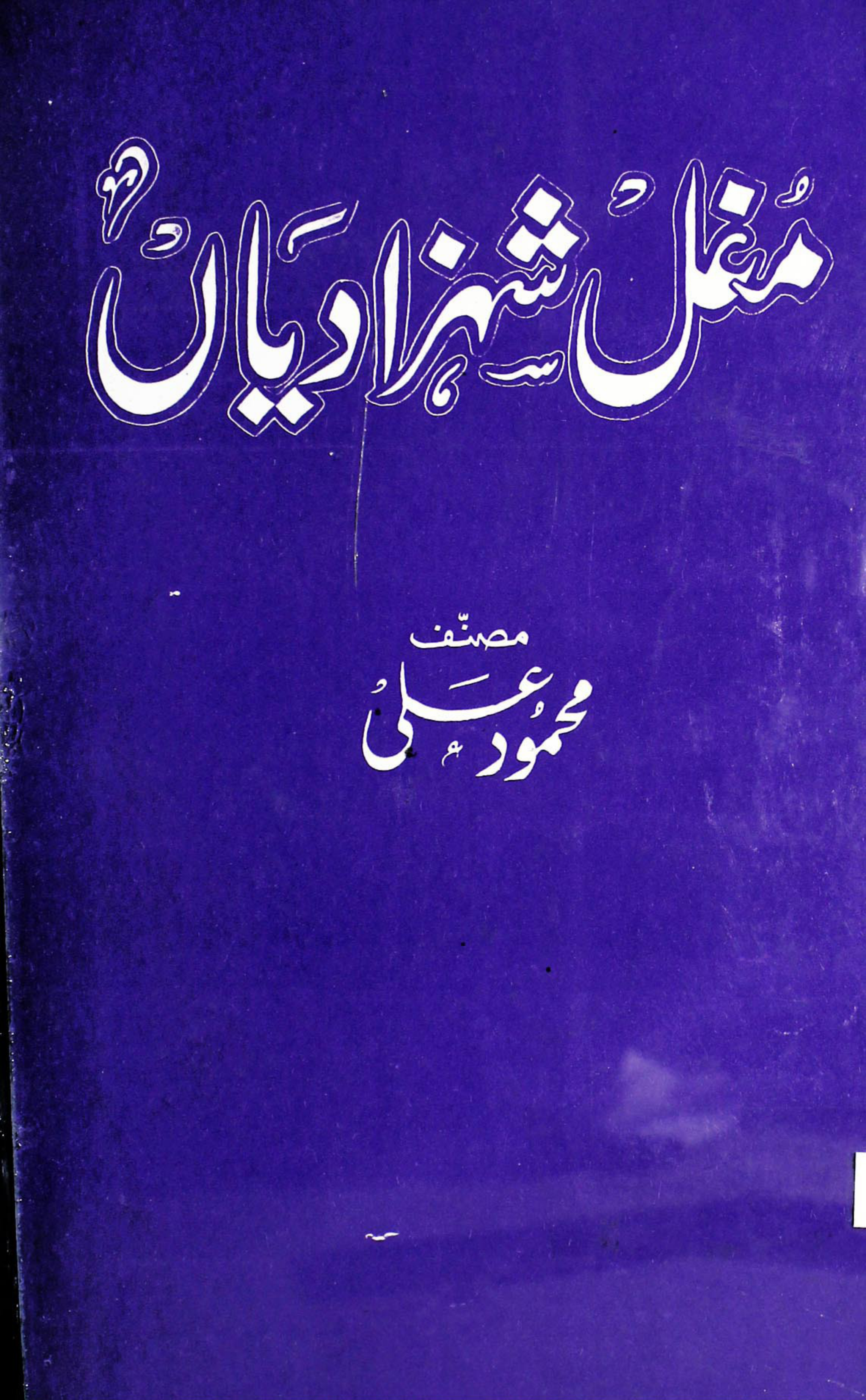 Mughal Shahzadian مغل شہزادیاں