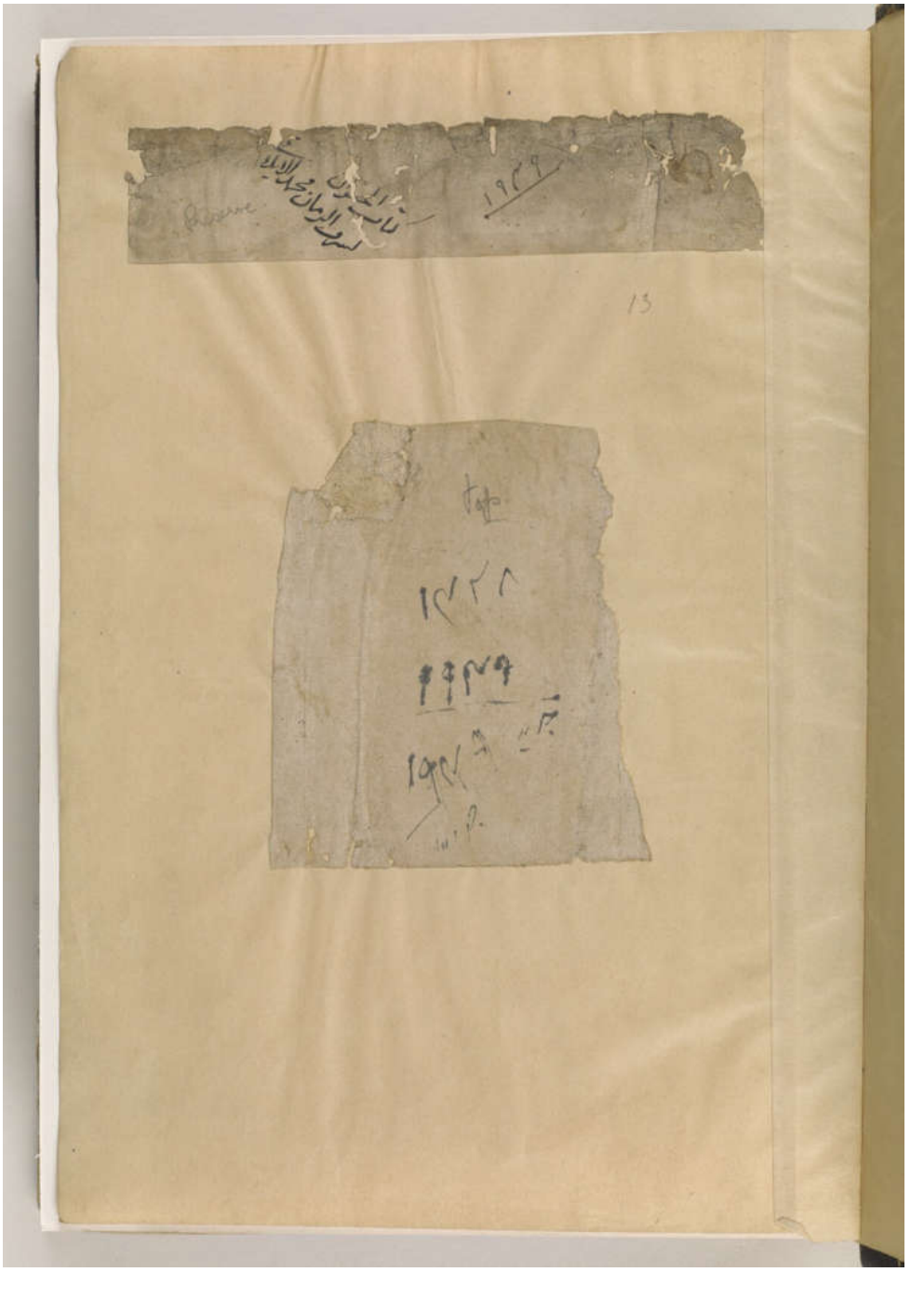 Taba’i‘ al-ḥayawān طبائع الحيوان Marwazī, Sharaf al-Zamān Ṭāhir مروزي، شرف الزمان طاهر