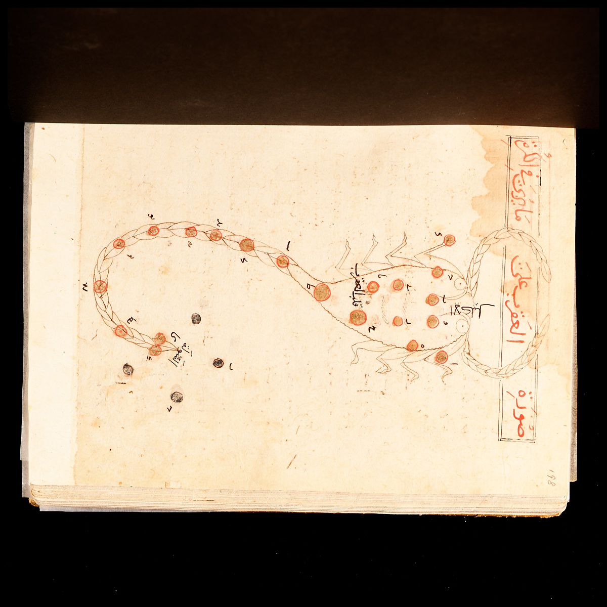 KITAB SUWAR AL-KAWAKIB AL-THABITA (BOOK OF THE IMAGES OF THE FIXED STARS) OF AL-SUFI 7