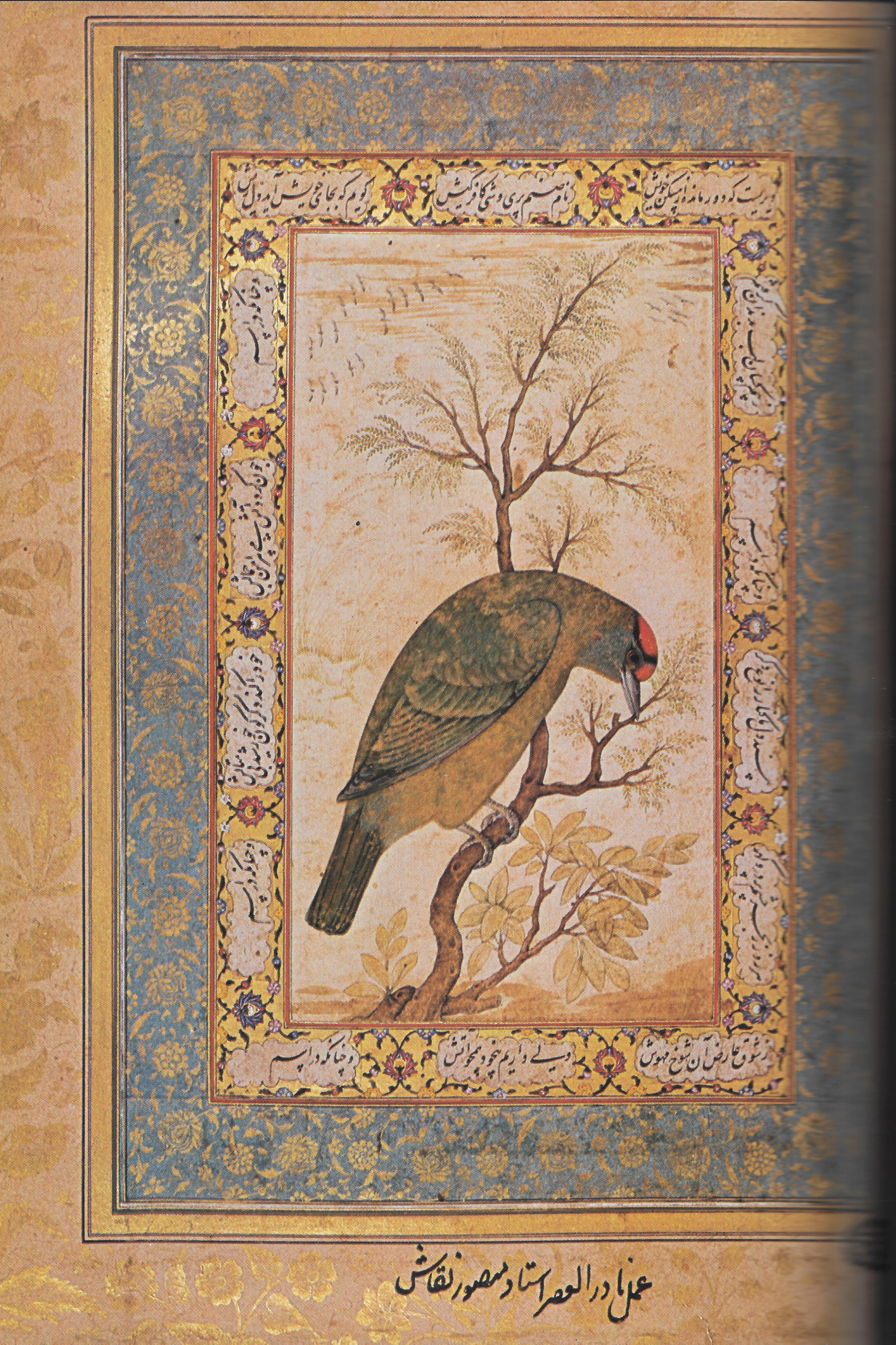 Blue Throated Barbet