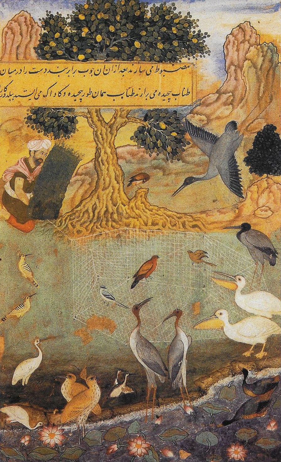 Bird catching near Kabul by Bhag