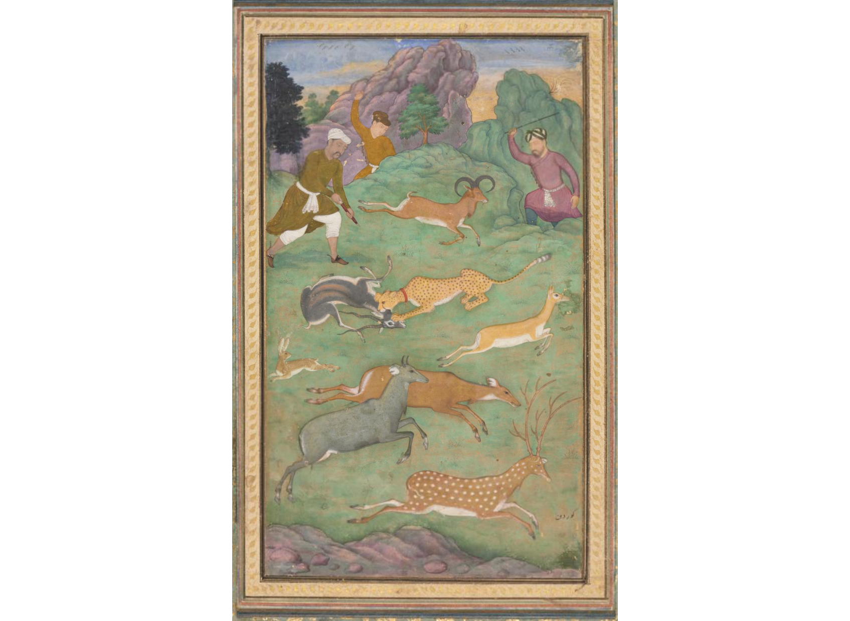 Antelope and deer hunt