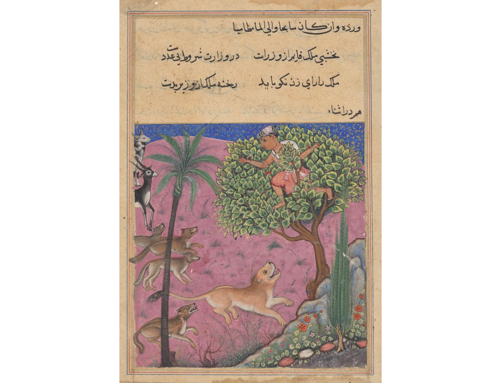 The wolf and the jackal, serving as viziers, instigate the lion who pursues the Brahman up a tree, from a Tuti-nama (Tales of a Parrot): Twenty-first Night