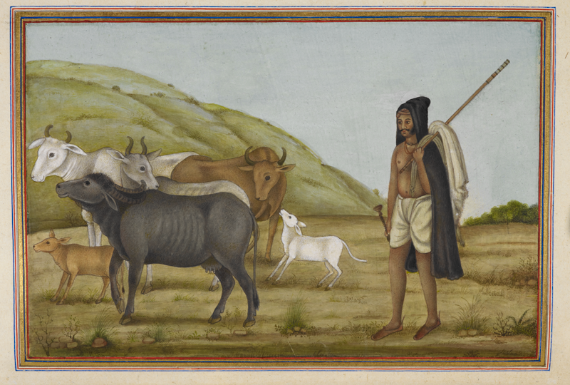 Ahir, a caste represented by a cowherd with cows and calves