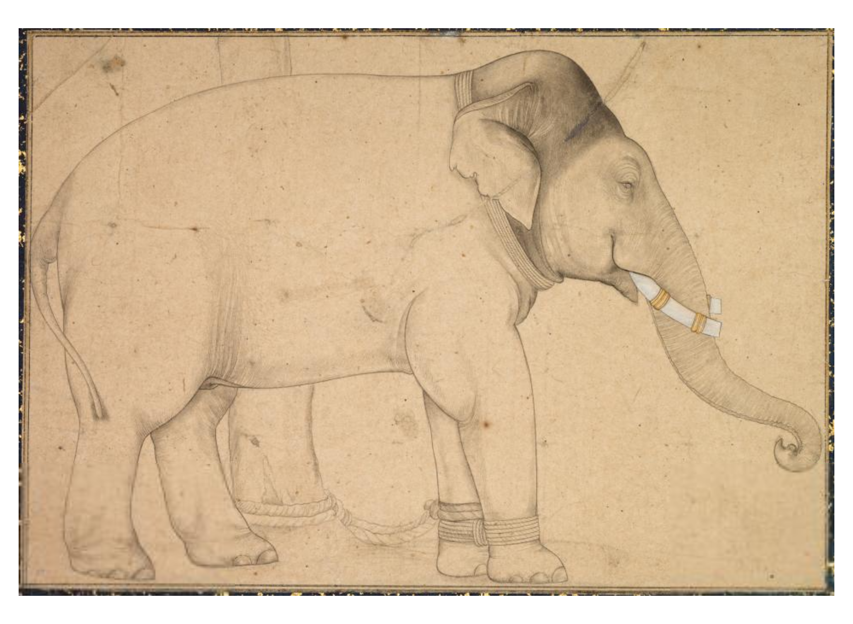Drawing of an Elephant