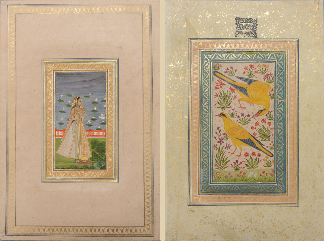 Paintings of a Mughal lady and a pair of golden orioles. c. 1750