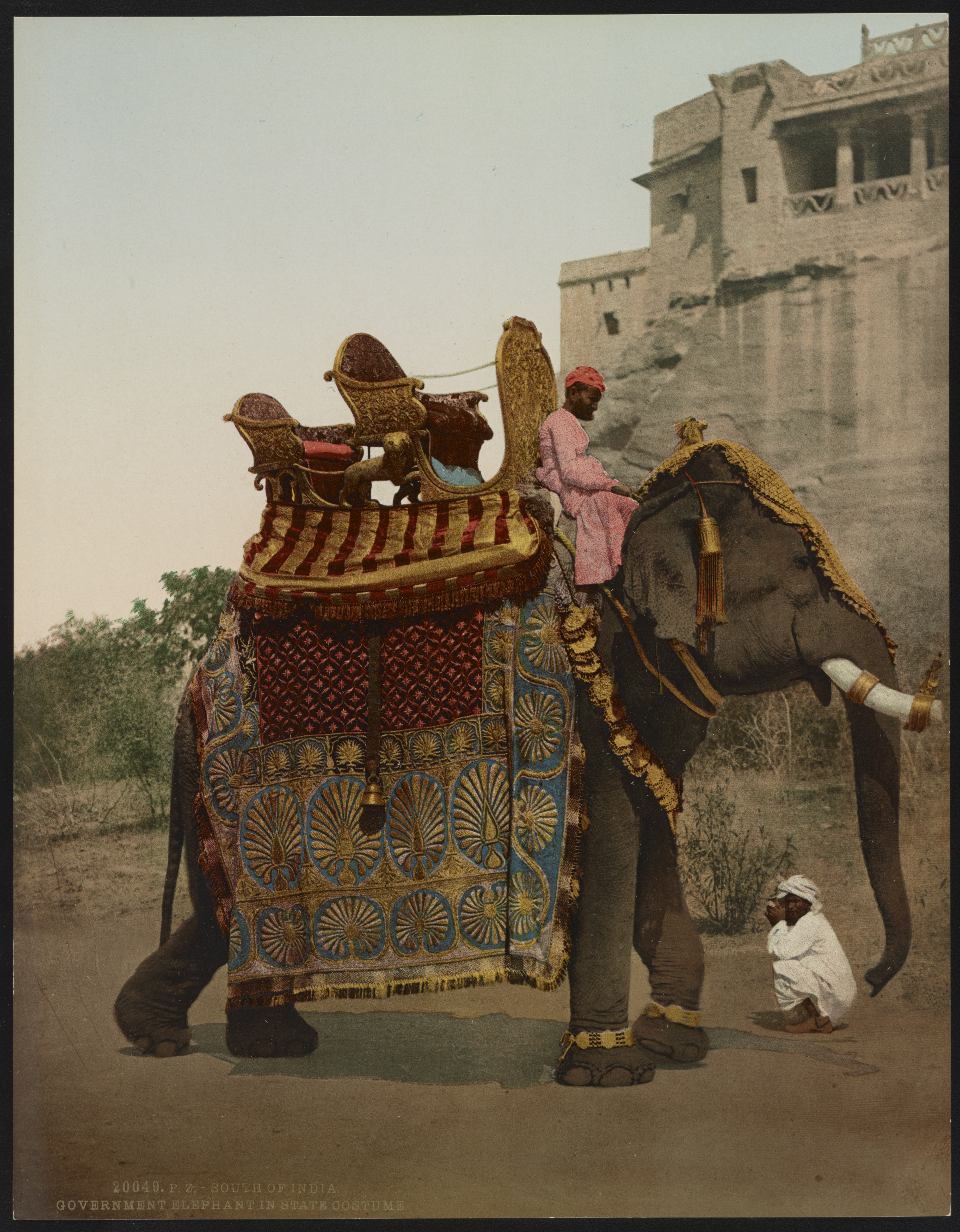 South of India. Government Elephant in State Costume