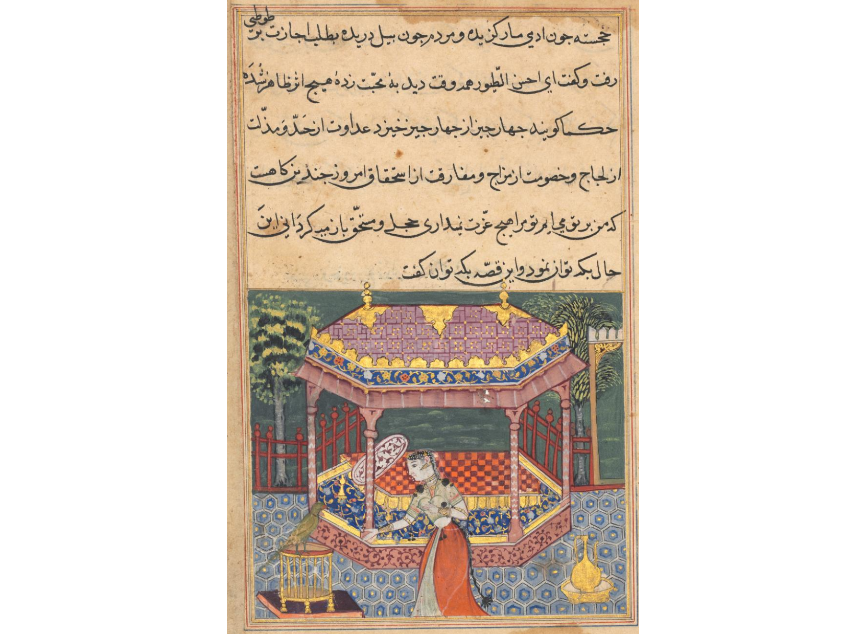 The parrot addresses Khujasta at the beginning of the thirty-seventh night, from a Tuti-nama (Tales of a Parrot)