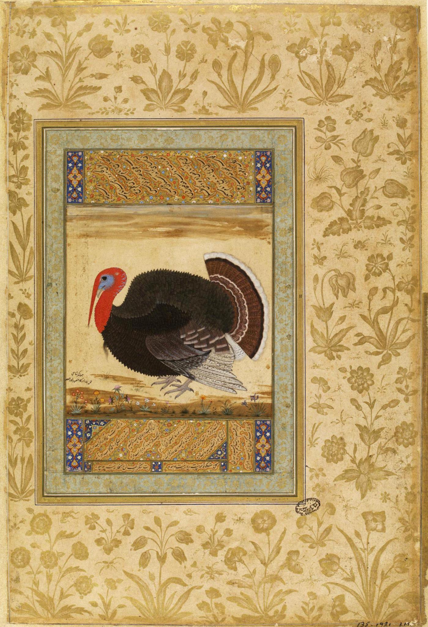 Turkey cock, by Mansur, opaque watercolour and gold on paper, Mughal, ca. 1612