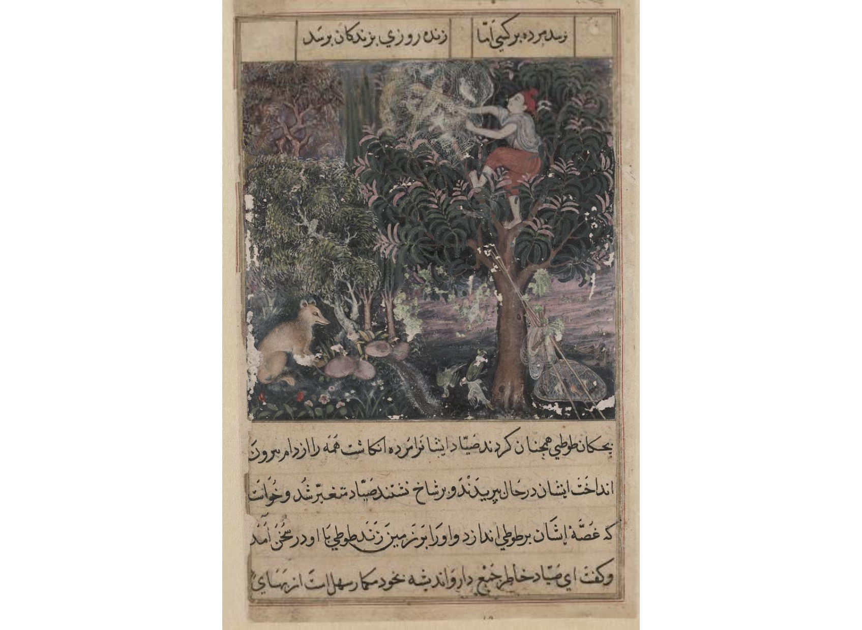 The hunter throws away the baby parrots, who pretend to be dead, and captures the mother, from a Tuti-nama (Tales of a Parrot): Fifth Night