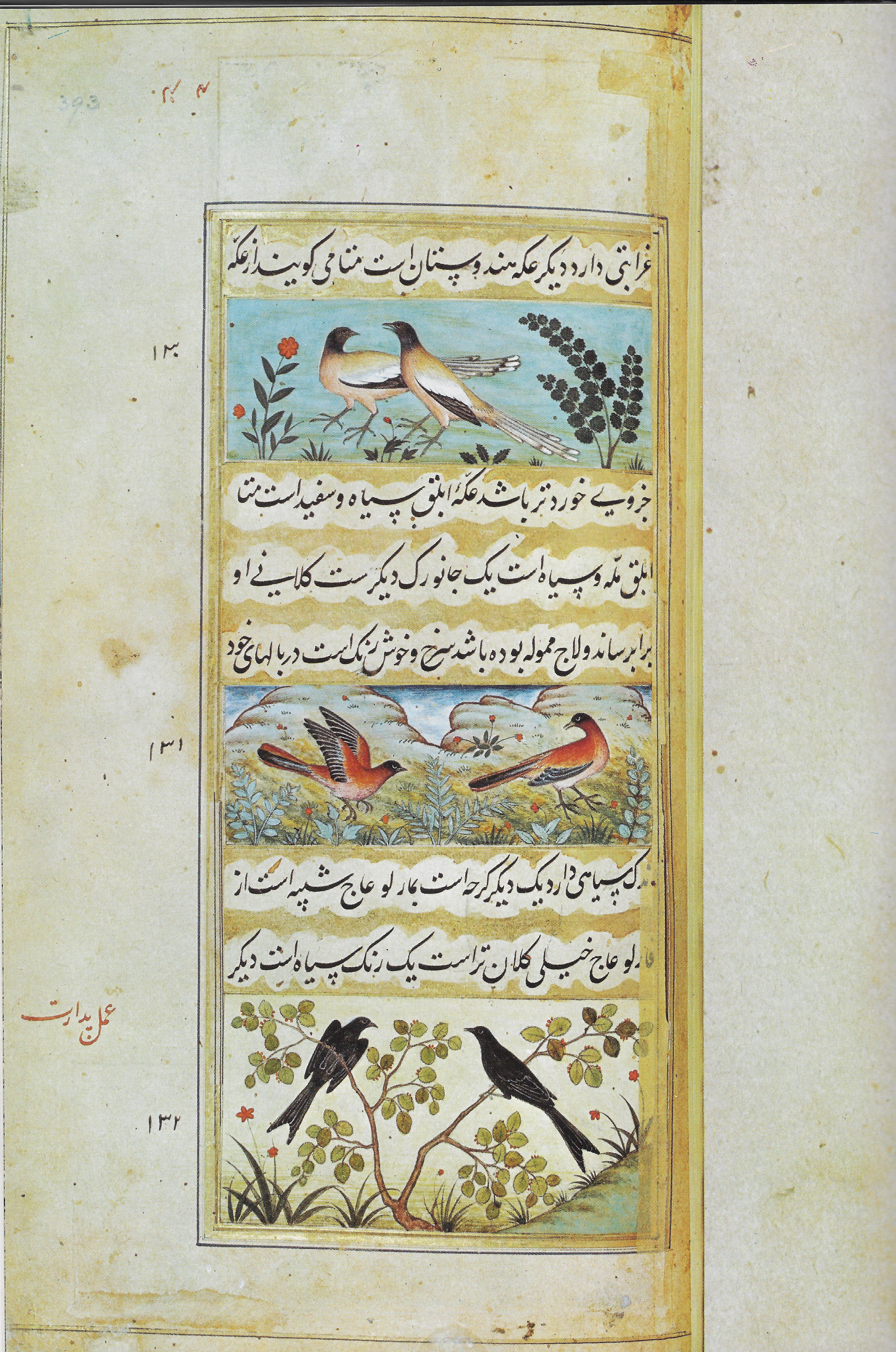 Page of Birds