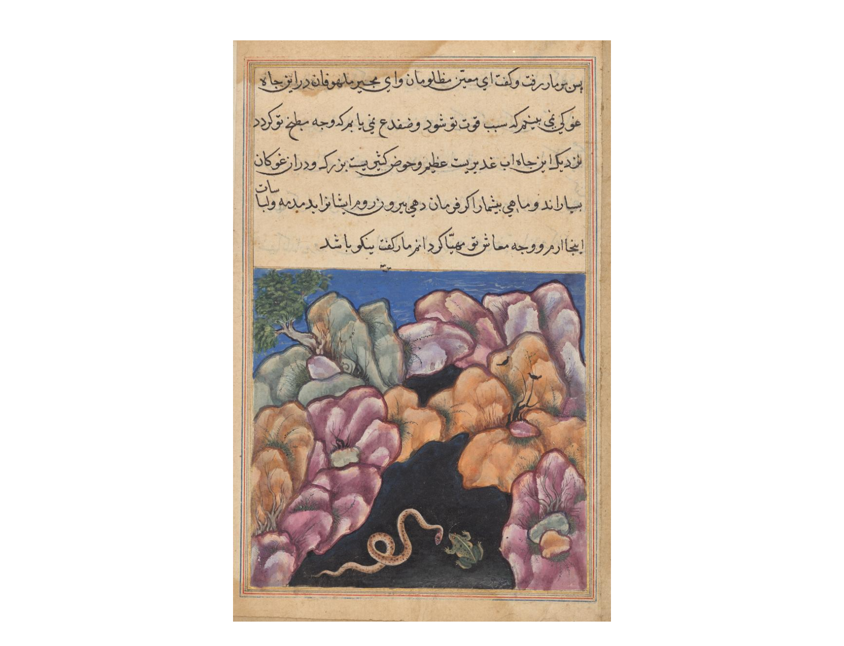 The Snake Enters into an Argument with the Frog, from a Tuti-nama (Tales of a Parrot): Twenty-sixth Night