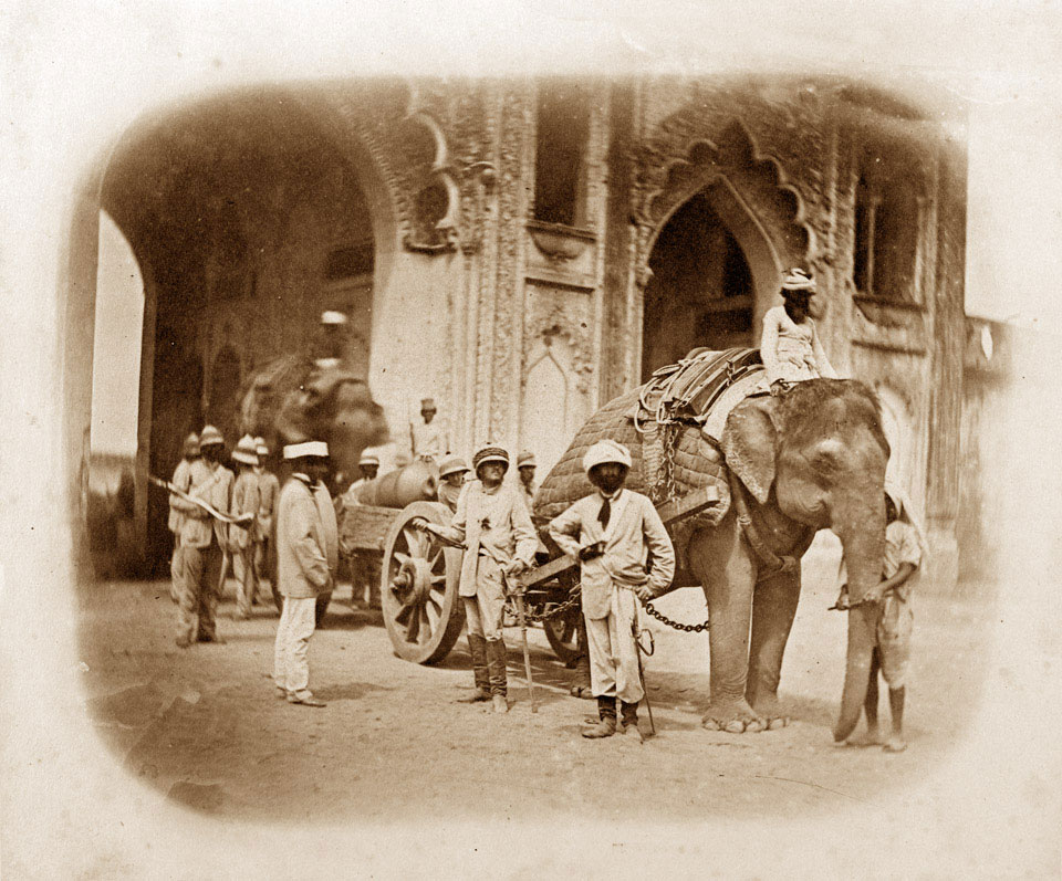 An elephant pulling a field gun, 1858