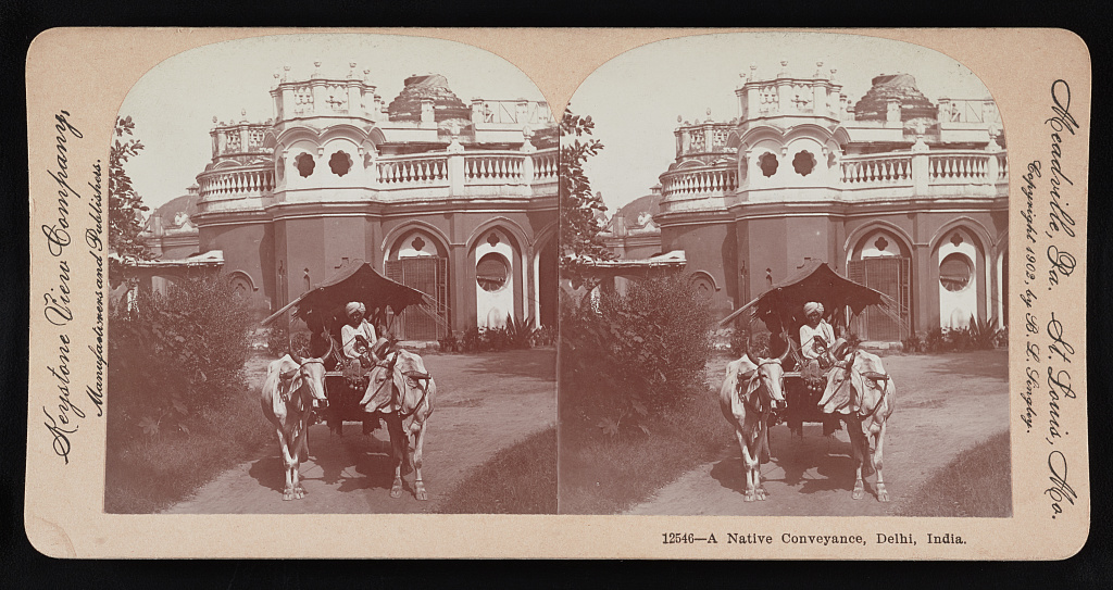 A native conveyance, Delhi, India