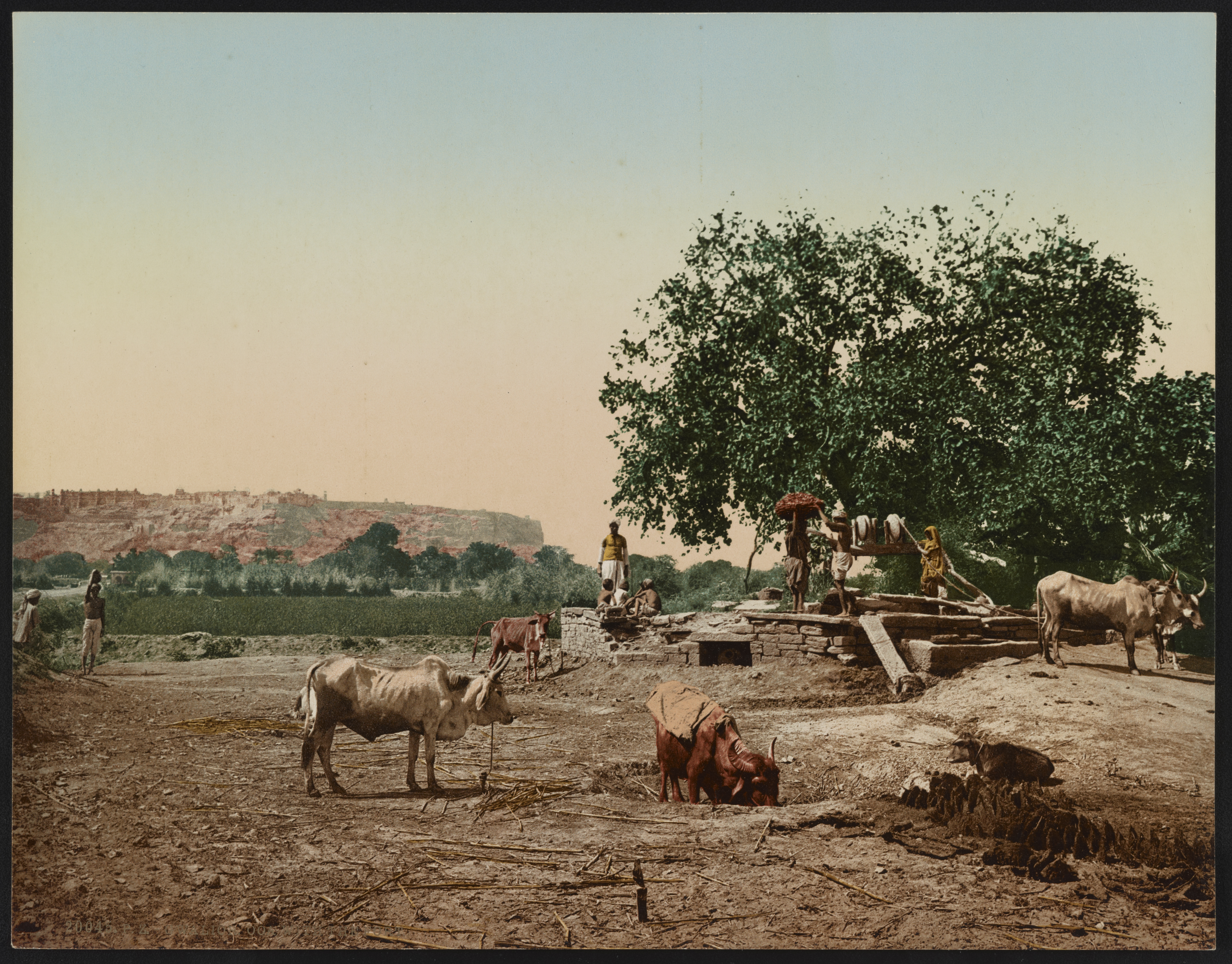 Gwalior. Ooa with the Fort