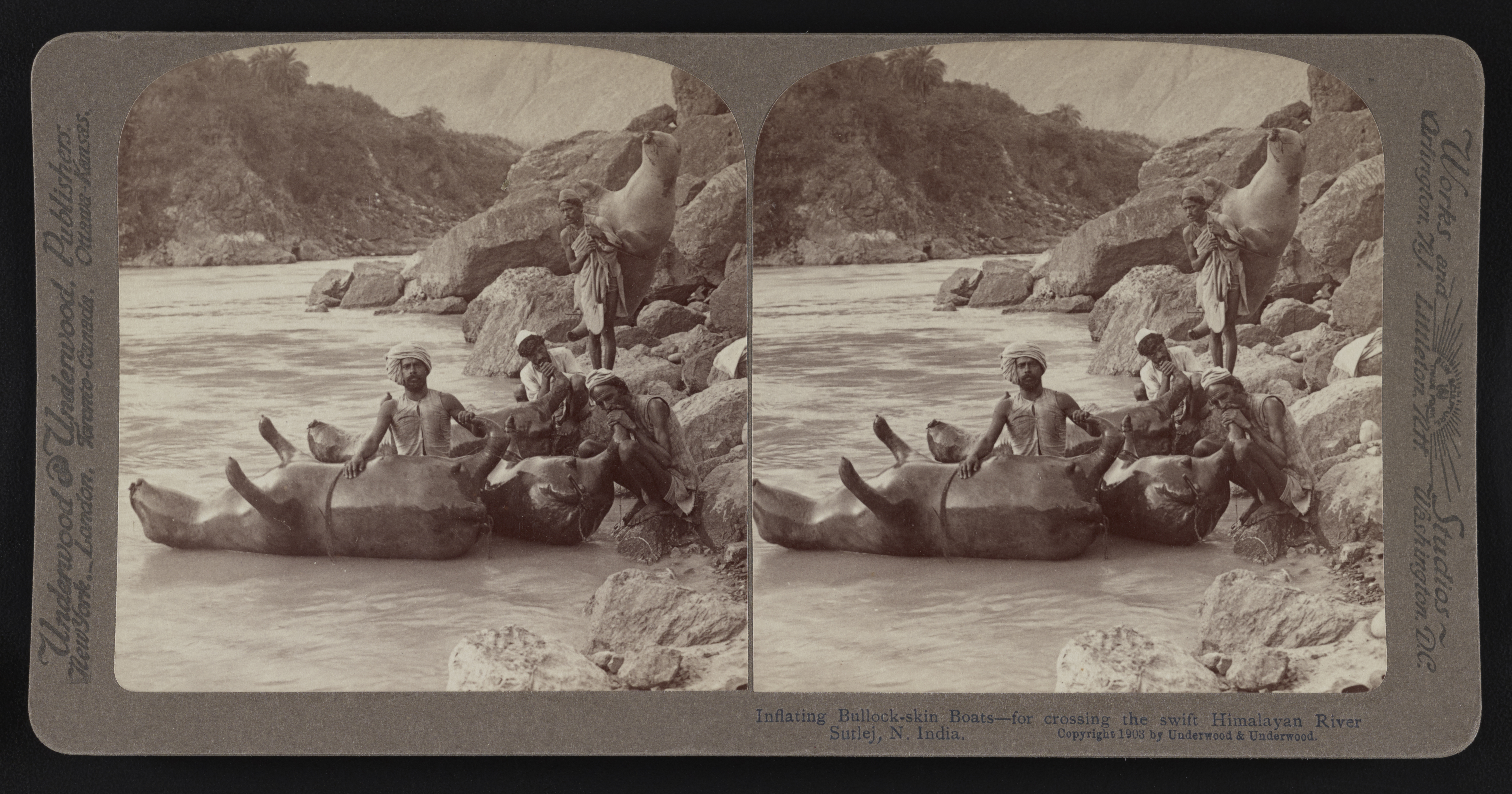 Inflating bullock-skin boats-for crossing the swift Himalayan river Sutlej, n. India