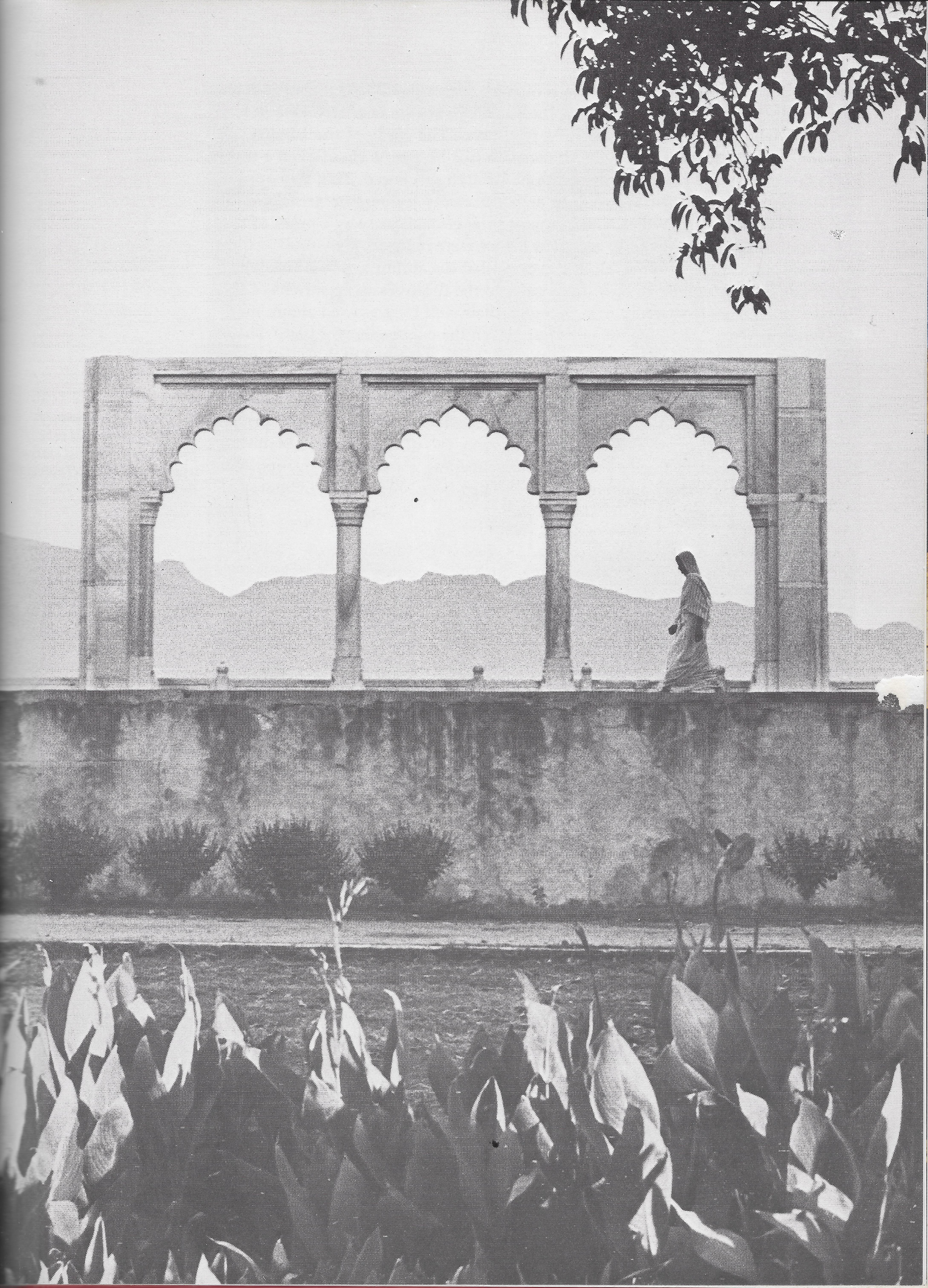 Decorative marble arches by Shah Jahan