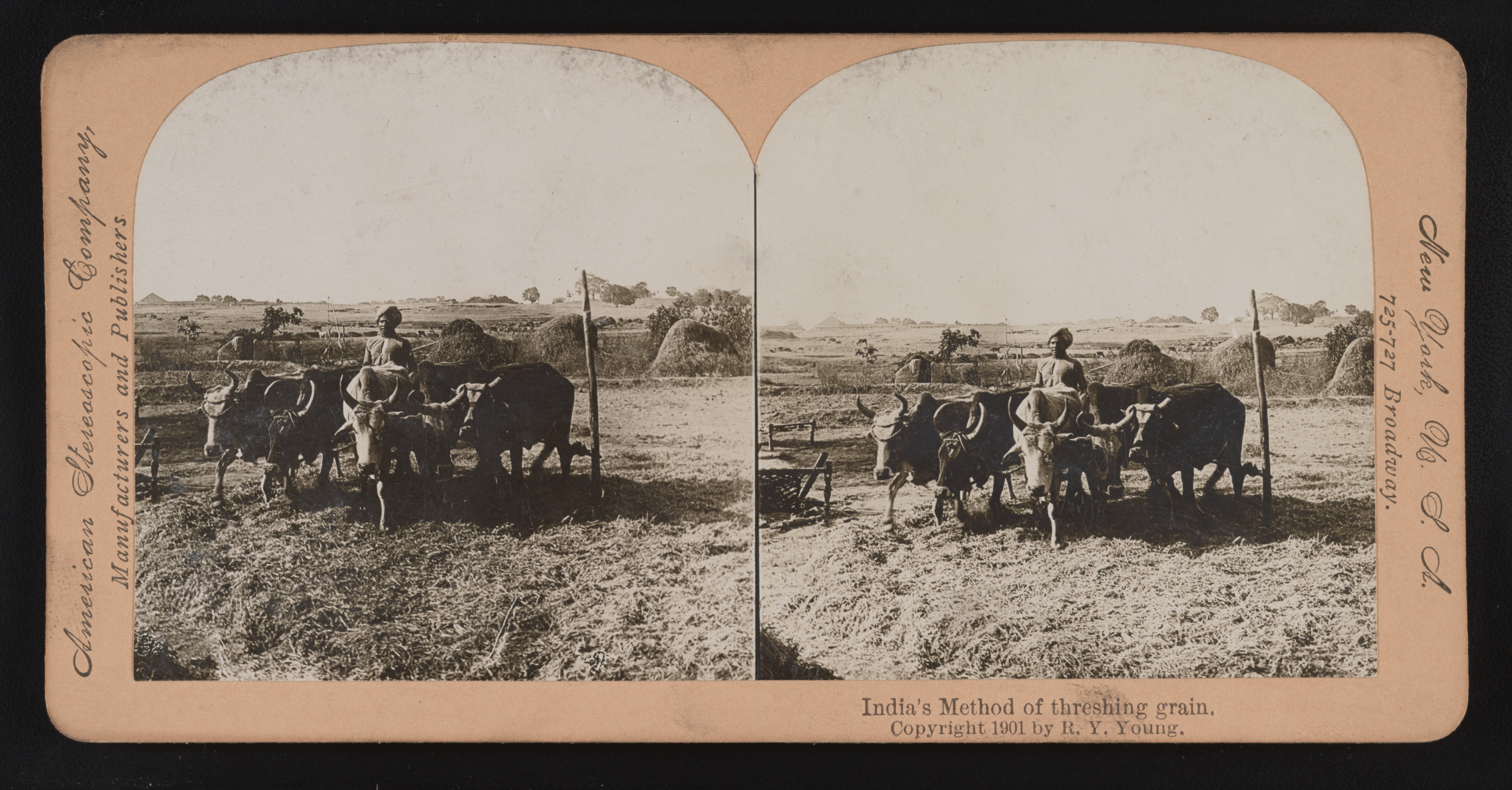 Indian lapidaries working under an Italian artist to restore the mosaics of the royal palace, Delhi, India