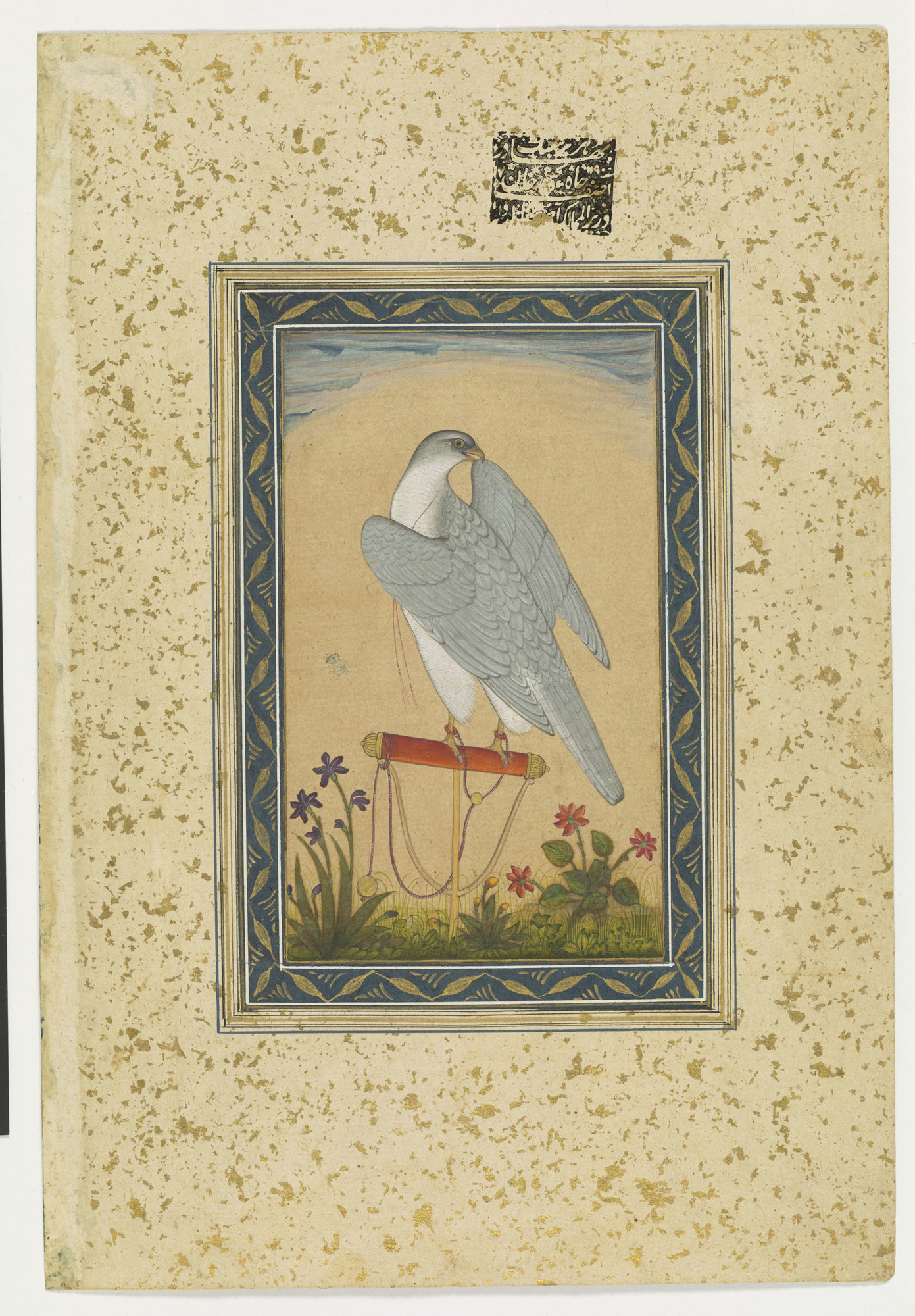 Painting of a Falcon. c. 1707-1770