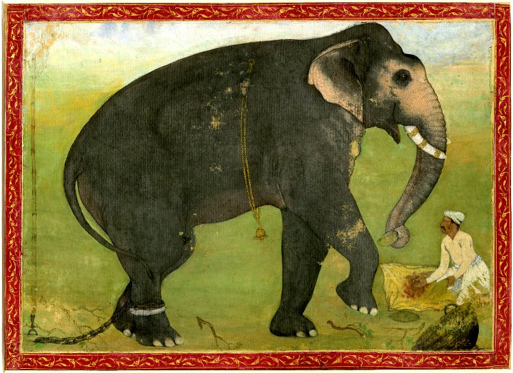 Man feeding an elephant