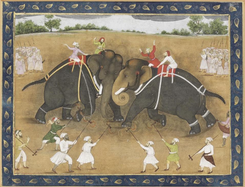 An elephant fight on a hillside