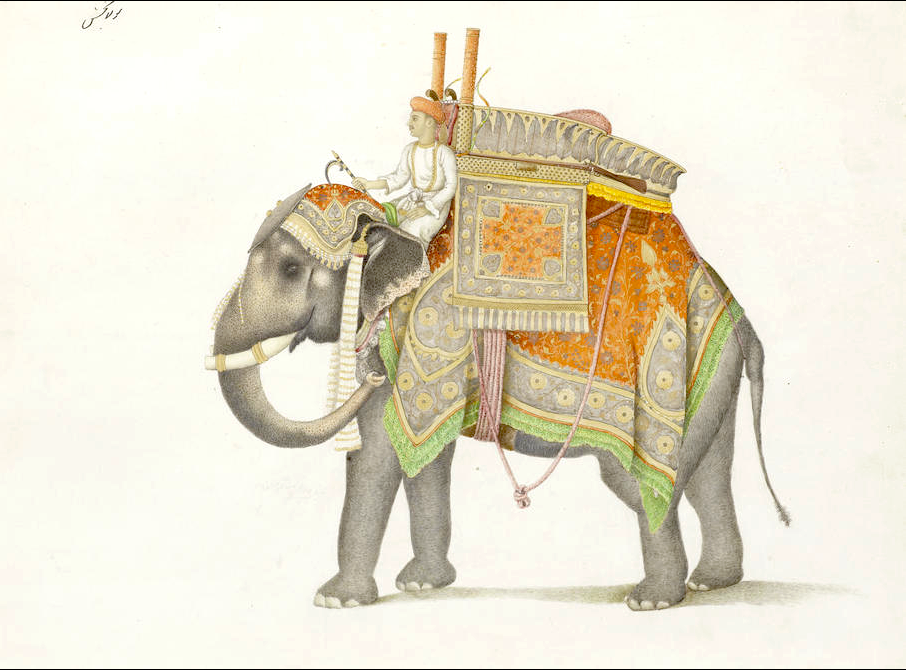 An elephant and driver, probably from the Mughal Emperor's stable