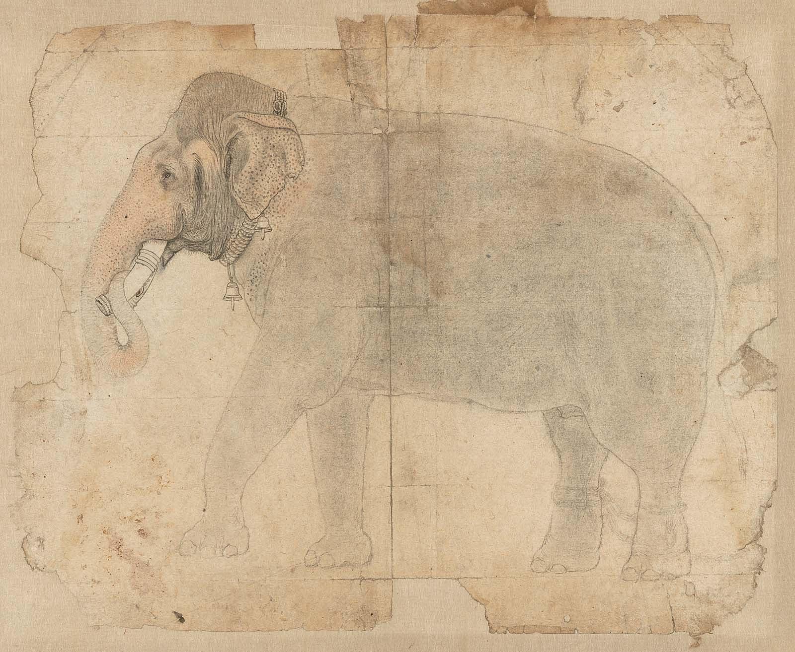 Portrait of an Elephant