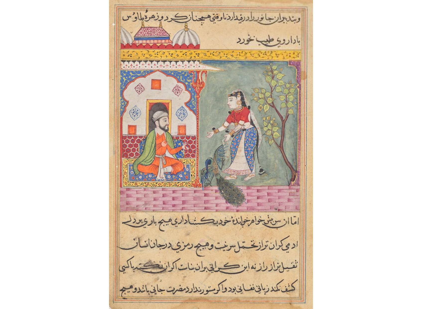 The Brahman’s wife who killed a peacock and ate its gallbladder on the physician’s advice, from a Tuti-nama (Tales of a Parrot): Nineteenth Night