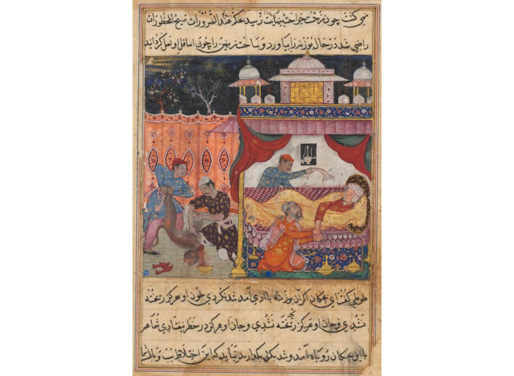 The monkey slain, his blood to be used as medicine for the ailing prince he has bitten, from a Tuti-nama (Tales of a Parrot): Fifth Night