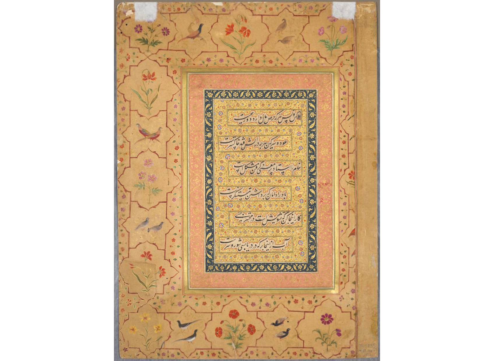 Page from the Late Shah Jahan Album: Calligraphy Framed by an Ornamental Border with Poppies and Pairs of Birds (verso)