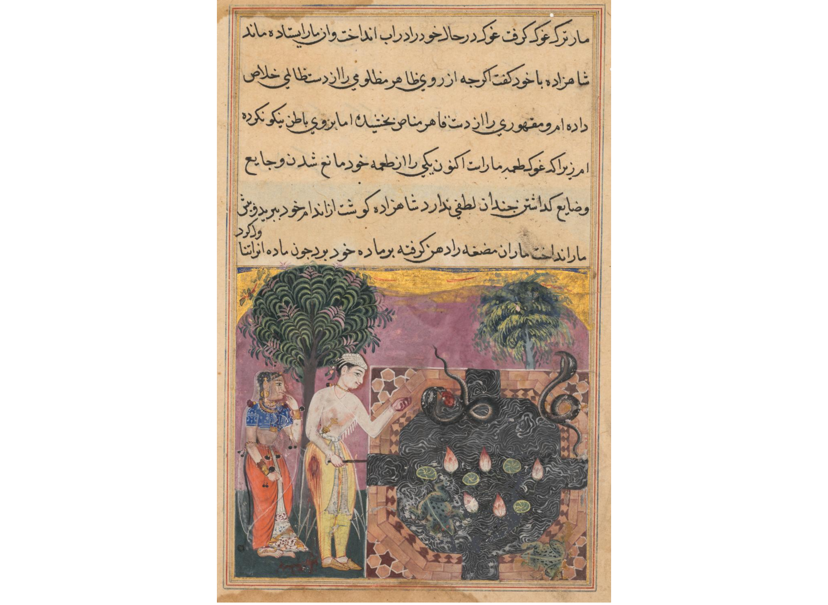 The prince, having deprived the snake of its natural food, a frog, feeds it with a piece of his own flesh, from a Tuti-nama (Tales of a Parrot): Eighteenth Night