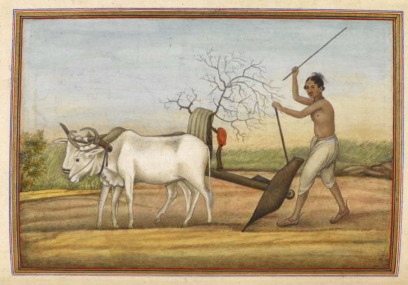 ‘Jat’, a numerous tribe spread over much of north-west India