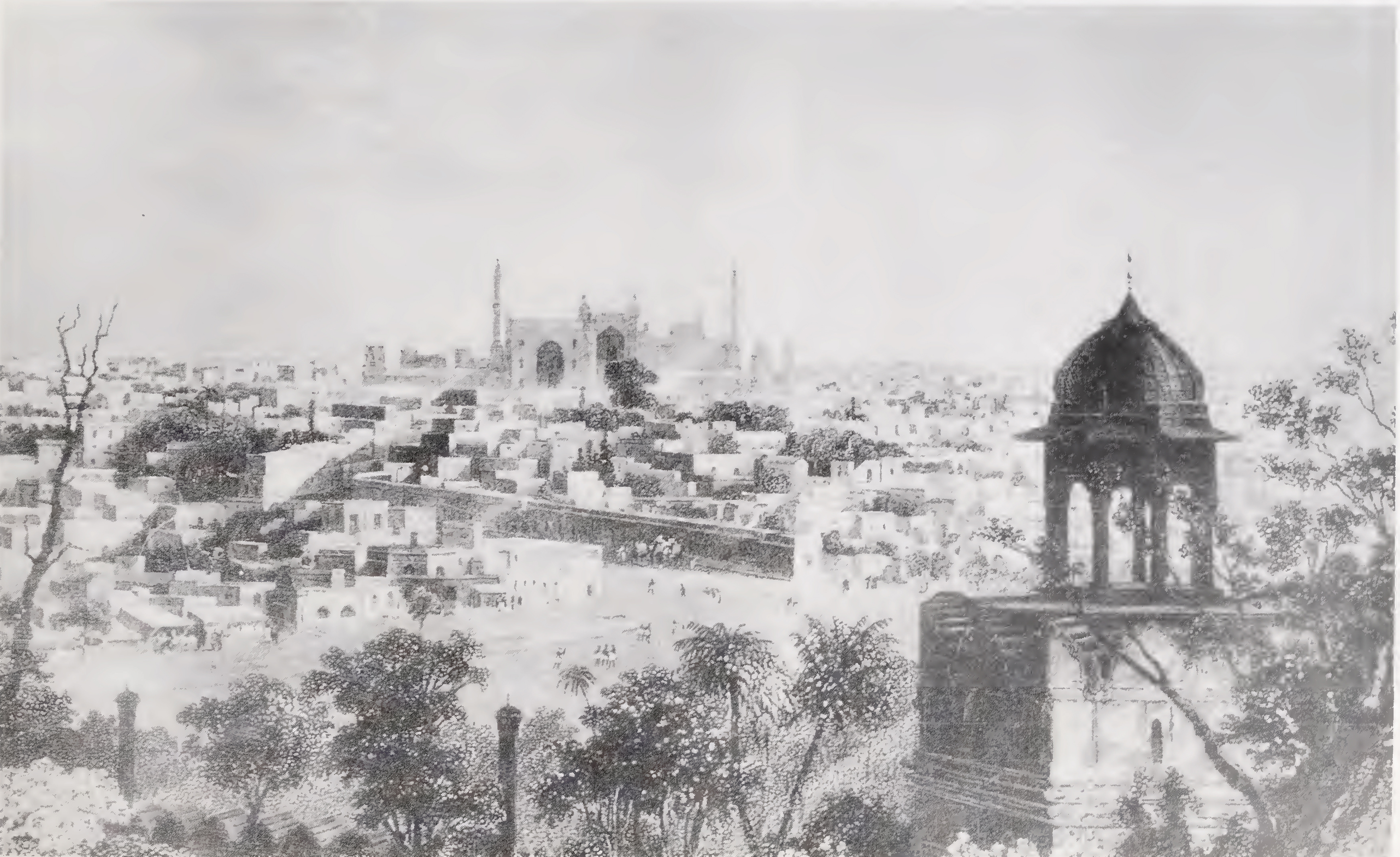 View of Delhi from the Palace Gate