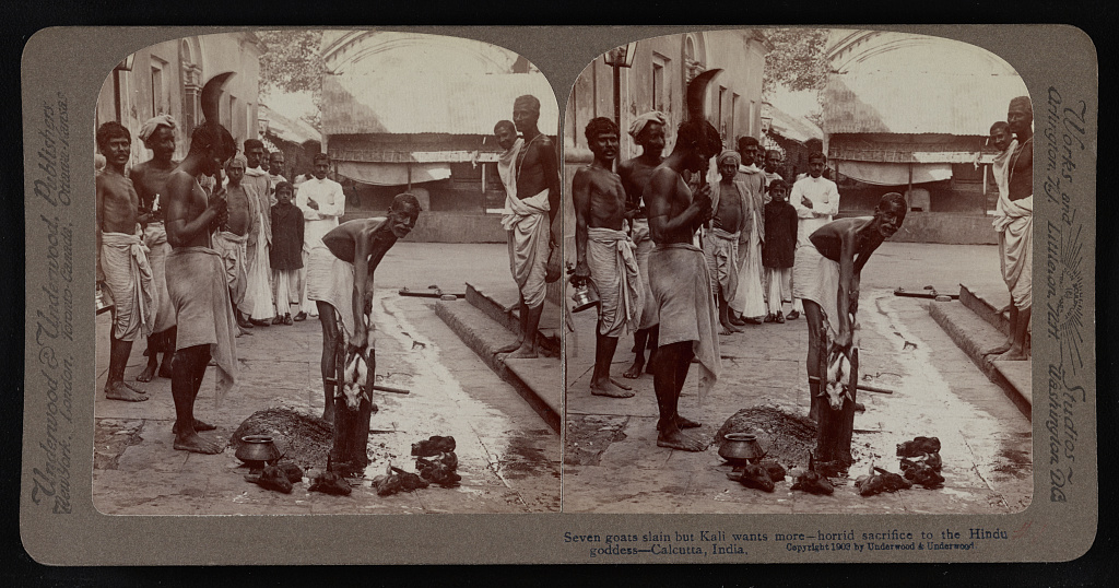 Seven goats slain but Kali wants more - horrid sacrifice to the Hindu goddess - Calcutta, India