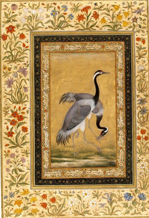 Pair of Tibetan Cranes, after a 17th century original by Mansur, opaque watercolour and gold on paper, Mughal, ca. 1800.