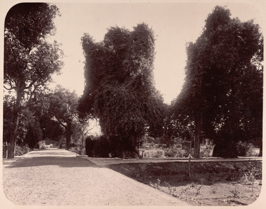 Agra. Ram Bagh. General view looking towards the entrance from the west