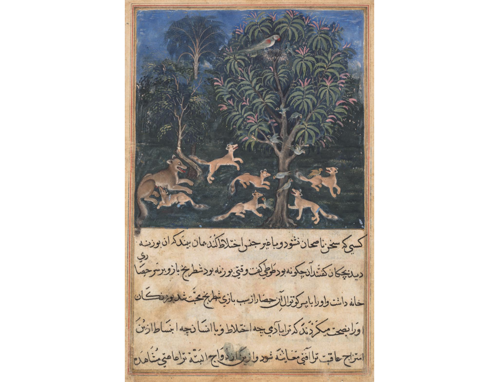 The parrot mother cautions her young on the danger of playing with foxes, from a Tuti-nama (Tales of a Parrot): Fifth Night