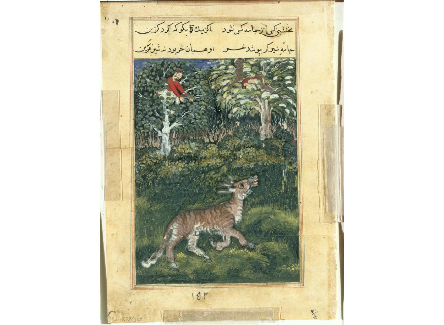 The donkey, in a tiger’s skin, reveals his identity by braying aloud, from a Tuti-nama (Tales of a Parrot): Thirty-first Night