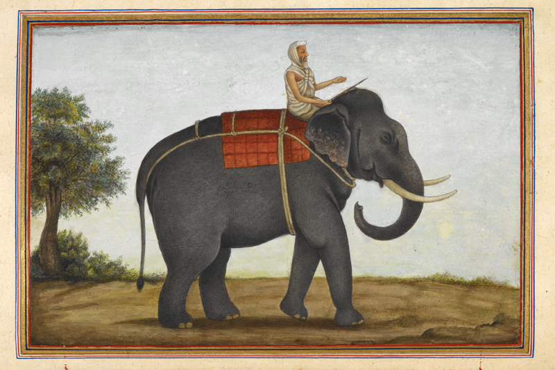 Taming the Elephant