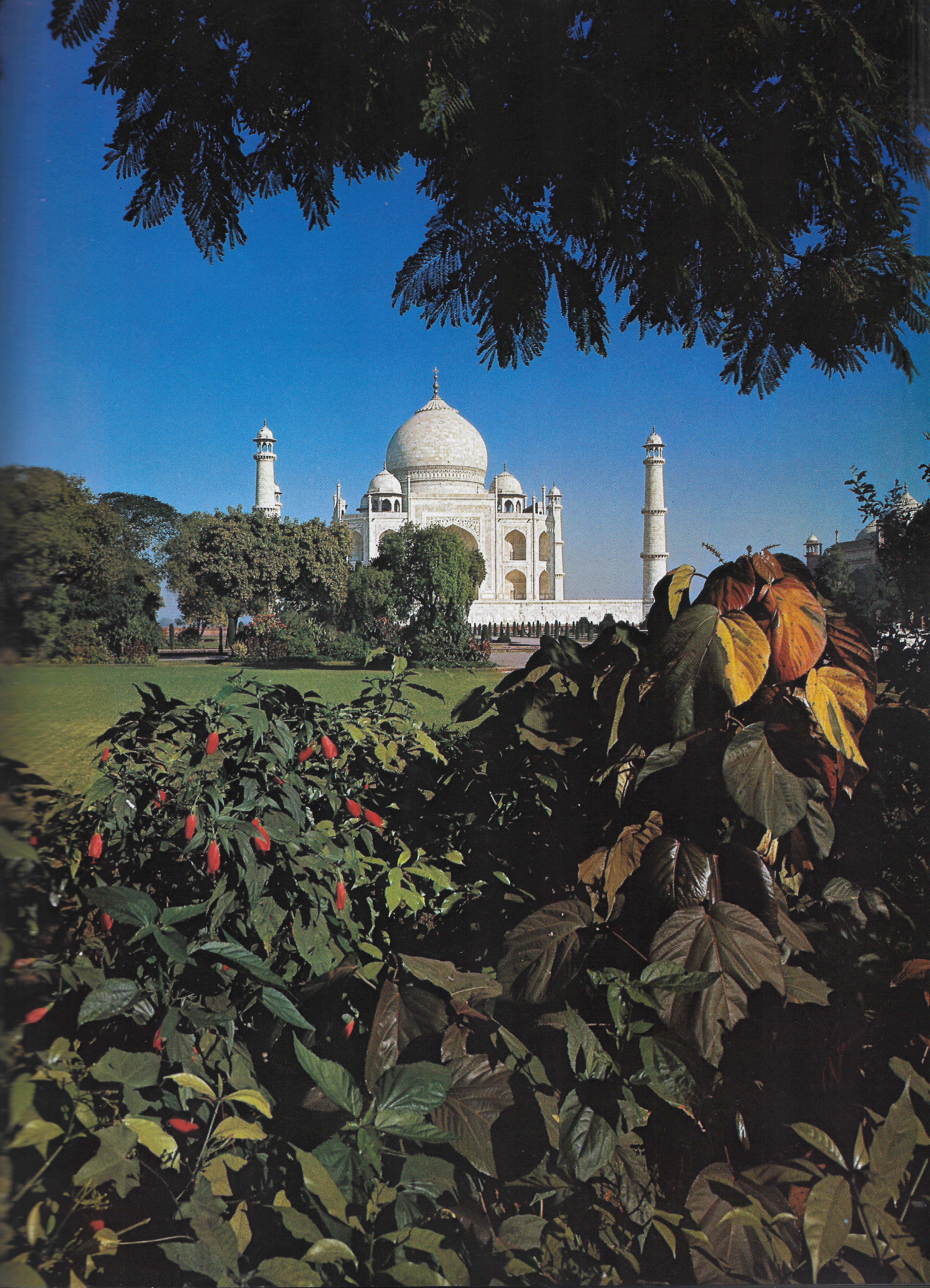 The Taj Mahal, seen from within it's own garden