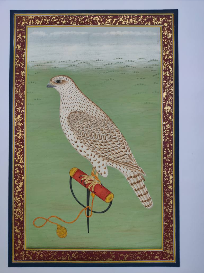 Falcon on a Bird Rest