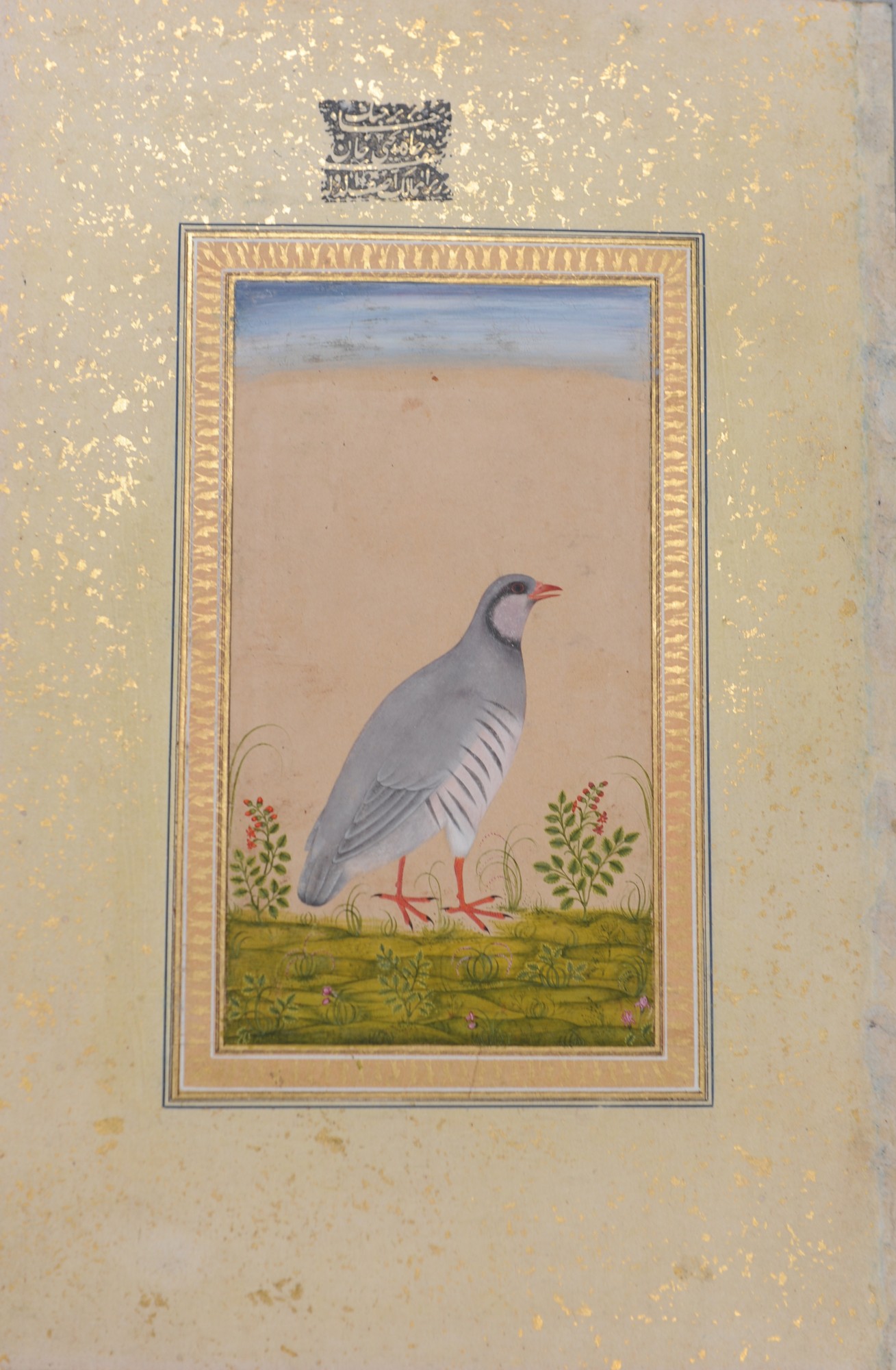 Painting of a chukar partridge. c. 1750-1770
