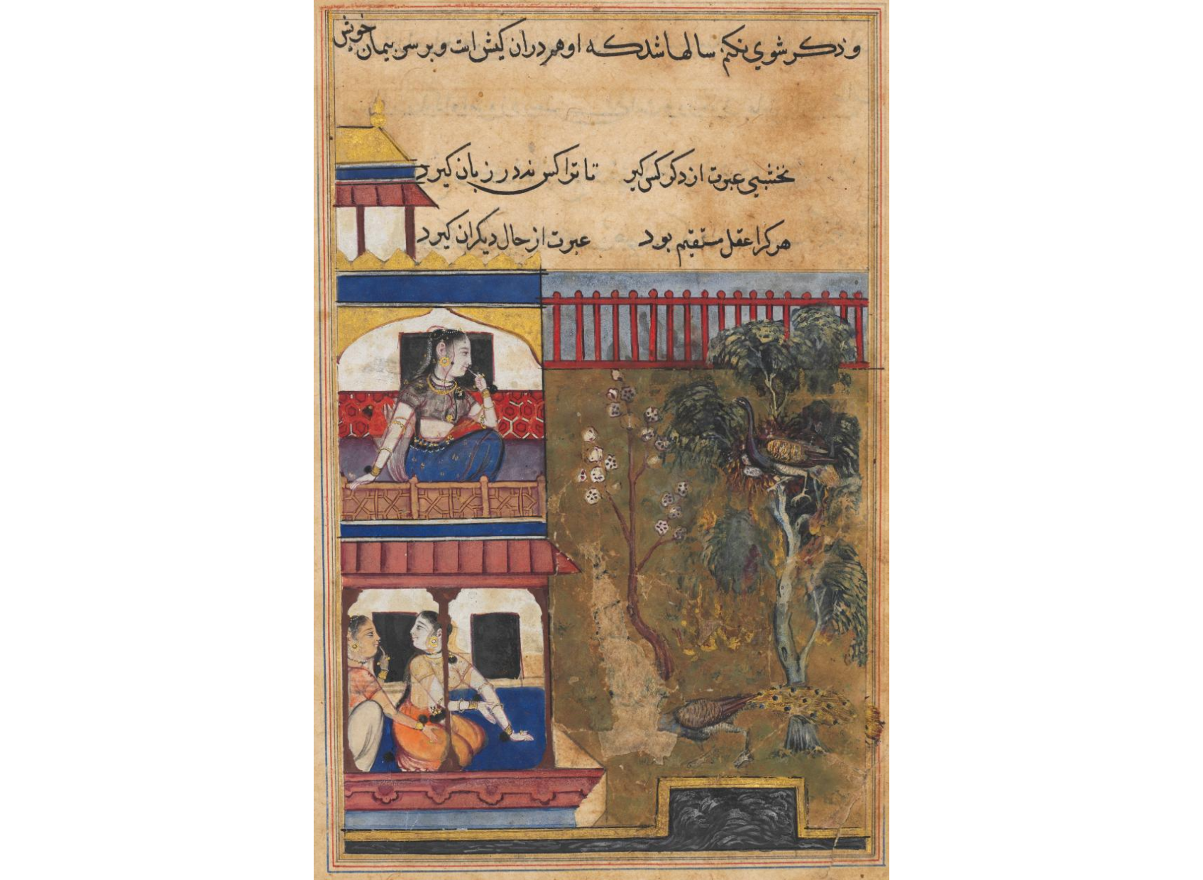 The queen of Rum watches the peahen prefer to burn rather than abandon her eggs while the peacock flees the nest, from a Tuti-nama (Tales of a Parrot): Thirty-ninth Night