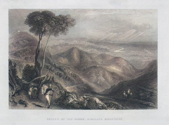 Valley of Dhoon (Doon ) In Himalayas