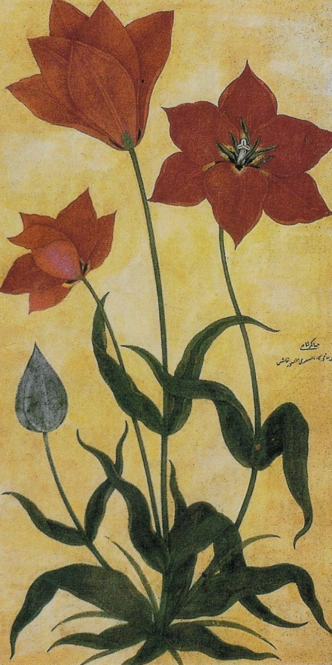 Red Tulips signed by Mansur