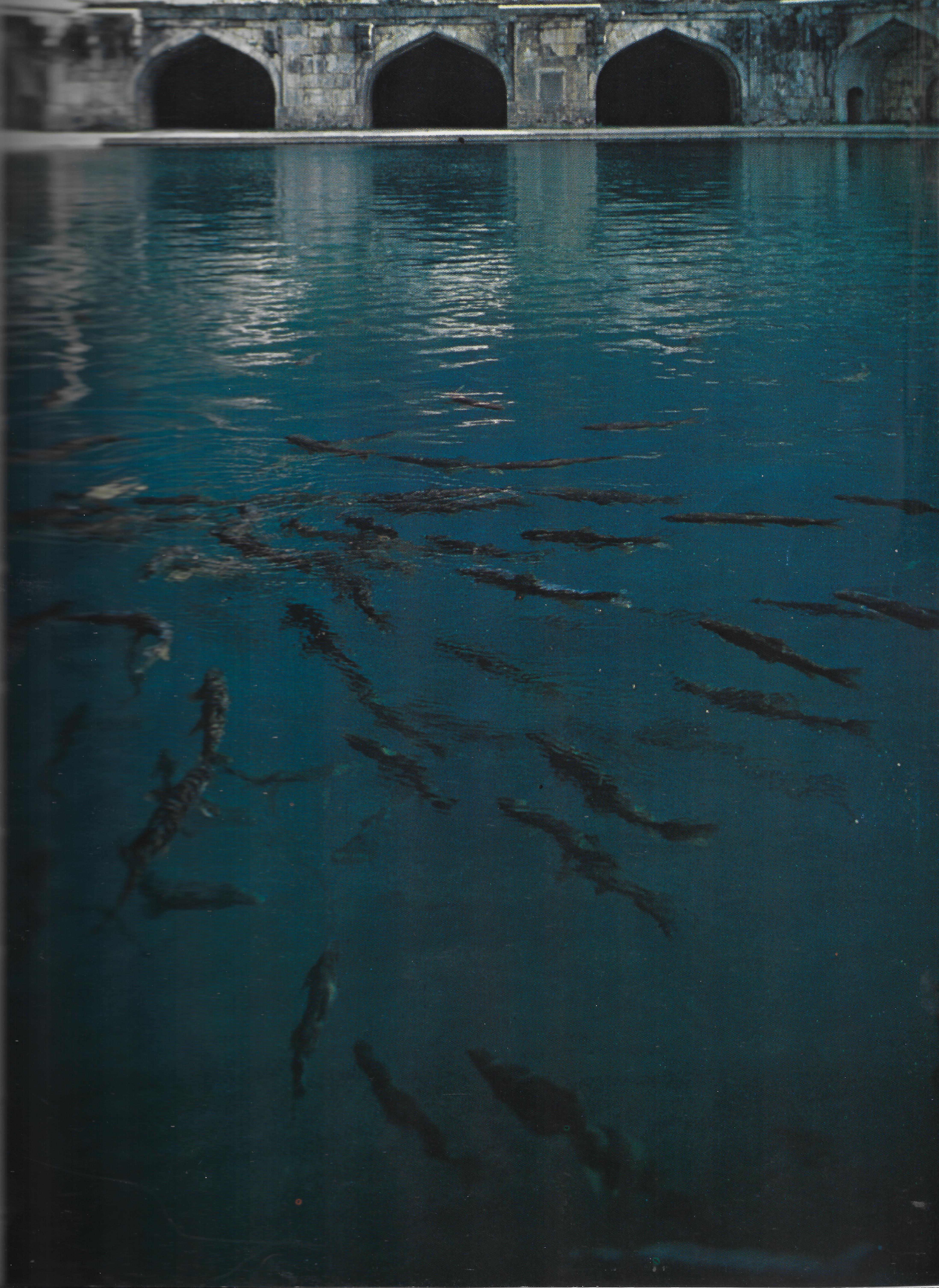 The Pool in the Mughal Garden at Vernag in Kashmir