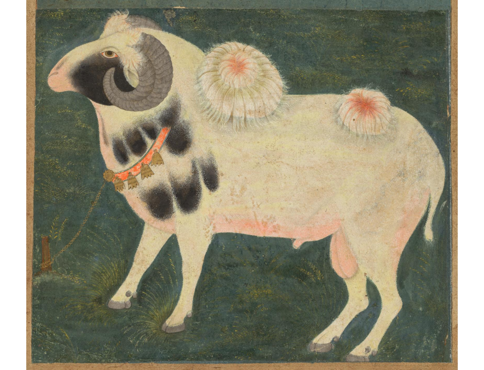 A royal ram with a gold chain