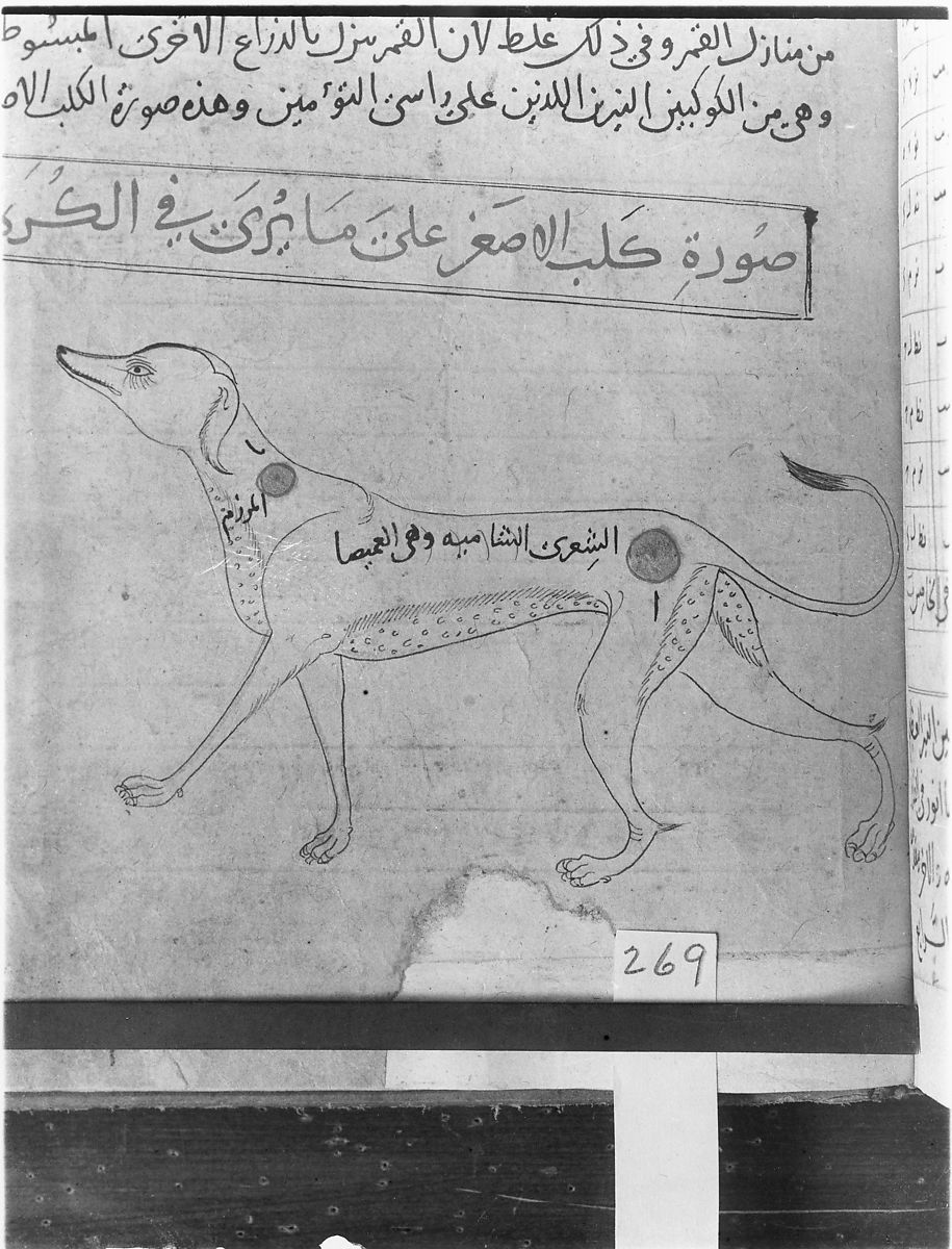 KITAB SUWAR AL-KAWAKIB AL-THABITA (BOOK OF THE IMAGES OF THE FIXED STARS) OF AL-SUFI 21